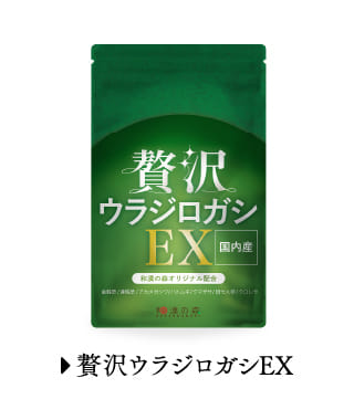贅沢ウラジロガシEX