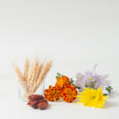 ルテイン&ギャバの恵み