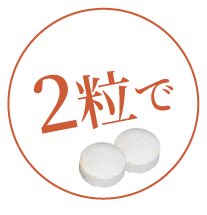 2粒で
