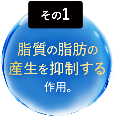 脂質の脂肪の産生を抑制する作用