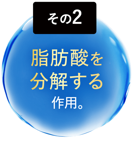 脂肪酸を分解する作用