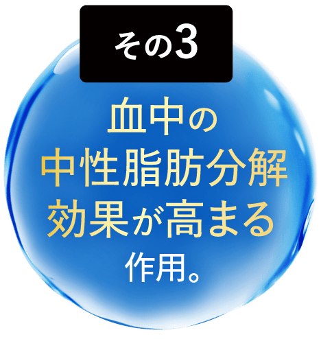 血中の中性脂肪分解効果が高まる作用