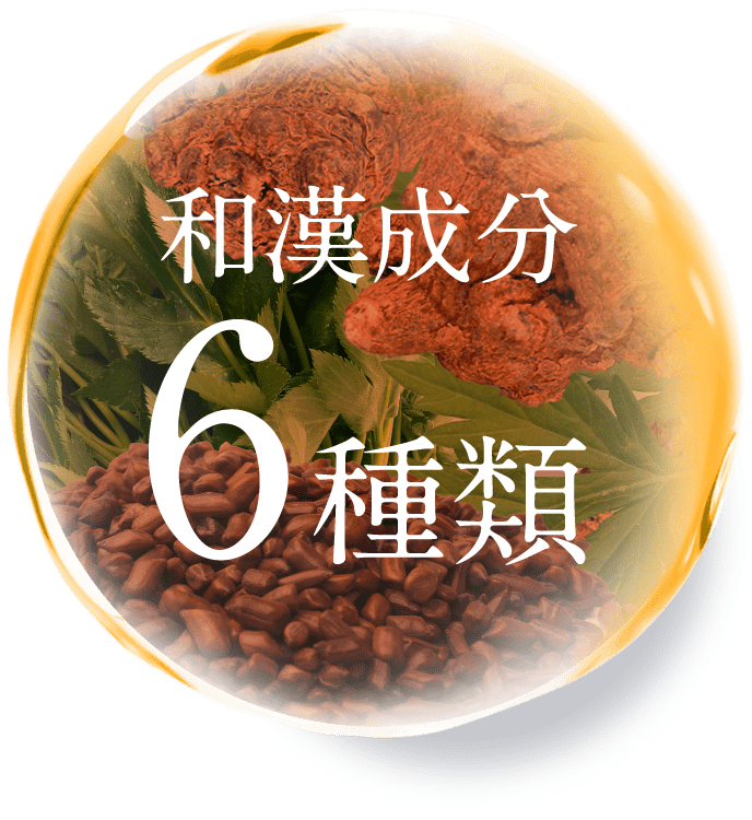 和漢成分6種類