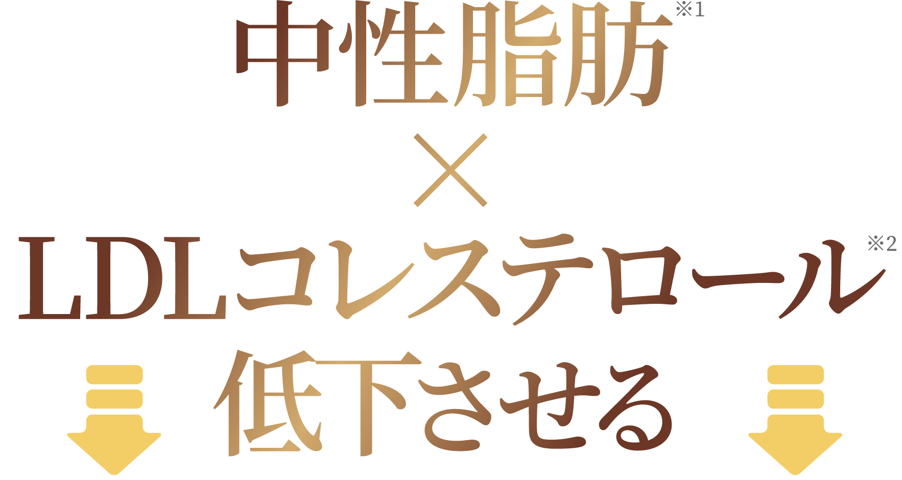 中性脂肪×LDLコレステロール低下させる