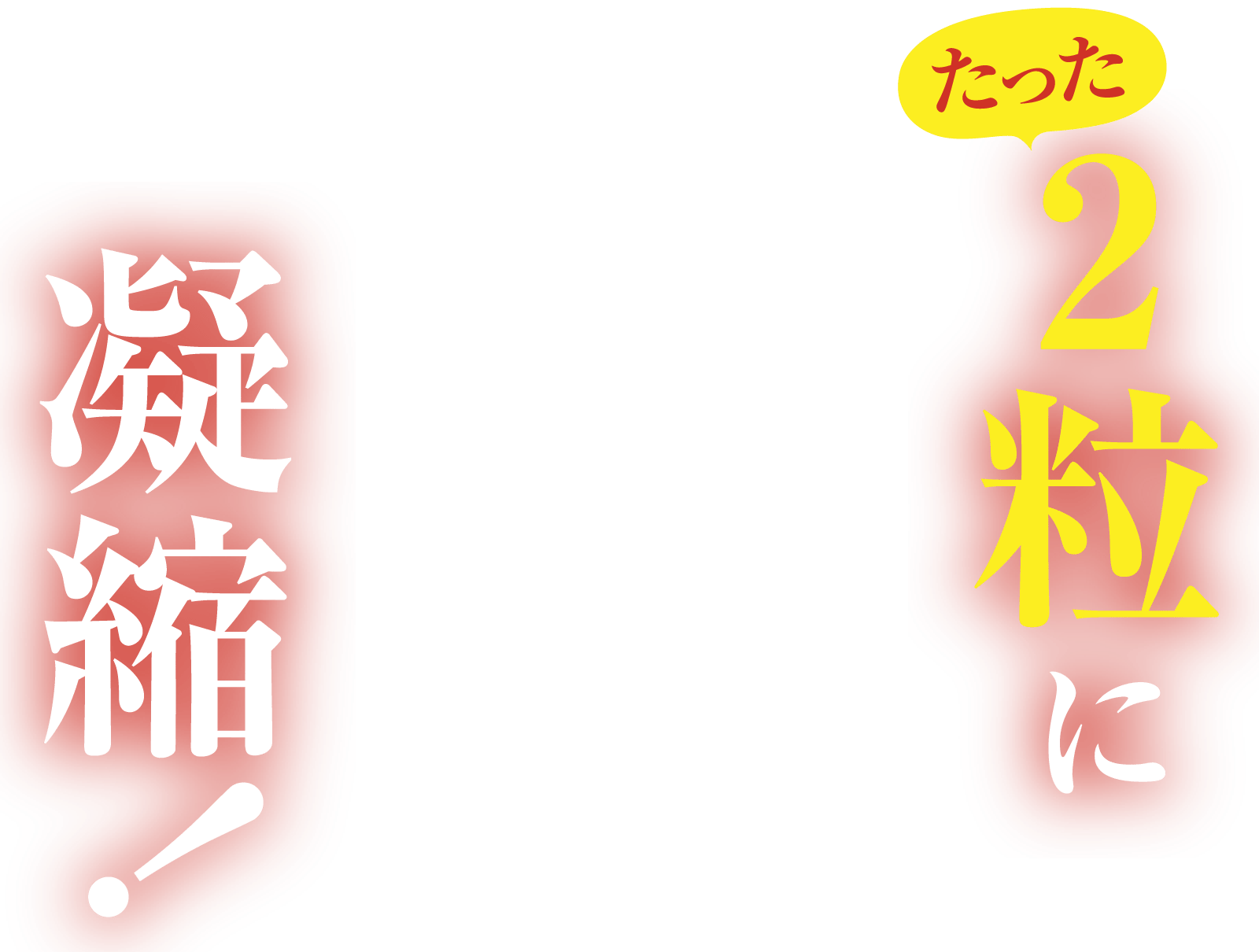 たった2粒に凝縮！