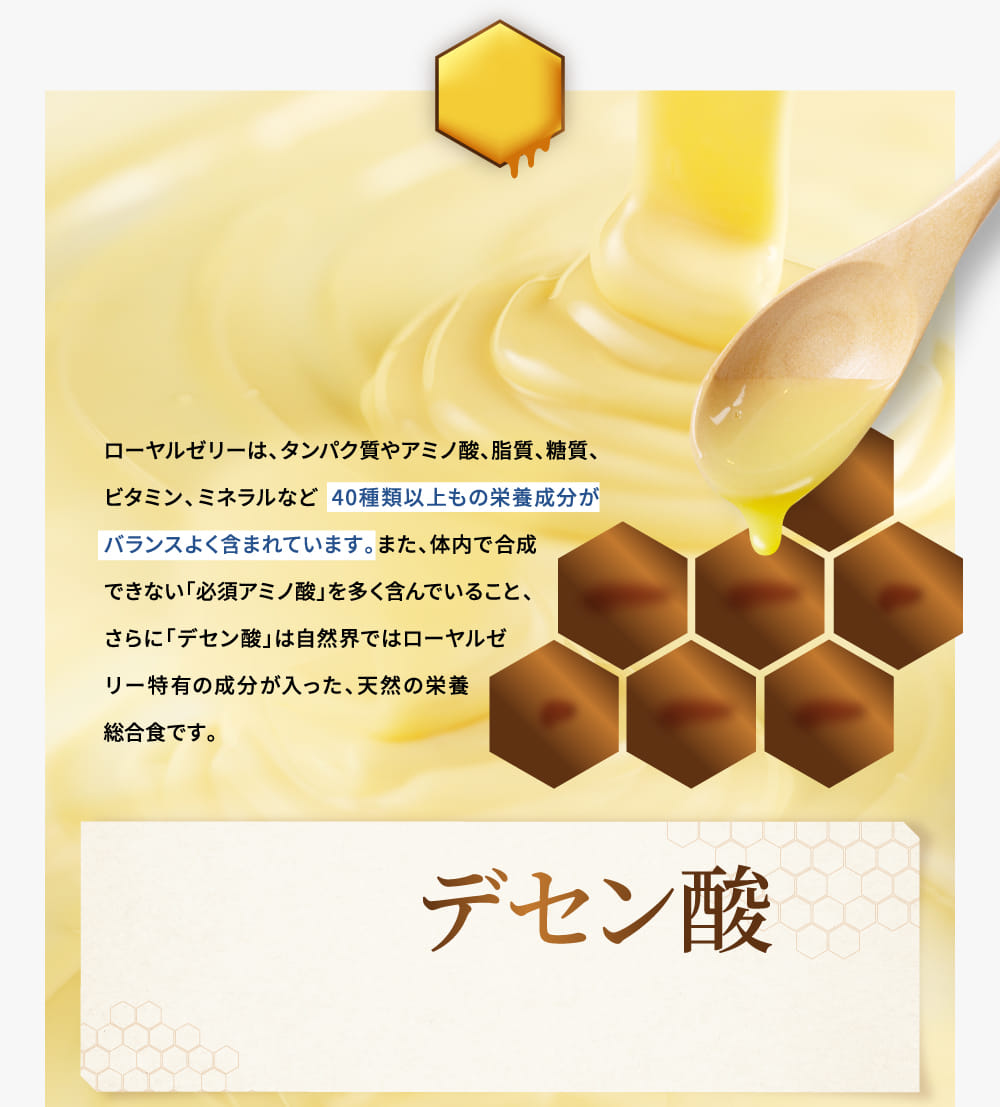 ローヤルゼリーは、タンパク質やアミノ酸、脂質、糖質、ビタミン、ミネラルなど40種類以上もの栄養成分がバランスよく含まれています。また、体内で合成できない「必須アミノ酸」を多く含んでいること、さらに「デセン酸」は自然界ではローヤルゼリー特有の成分が入った、天然の栄養総合食です。
